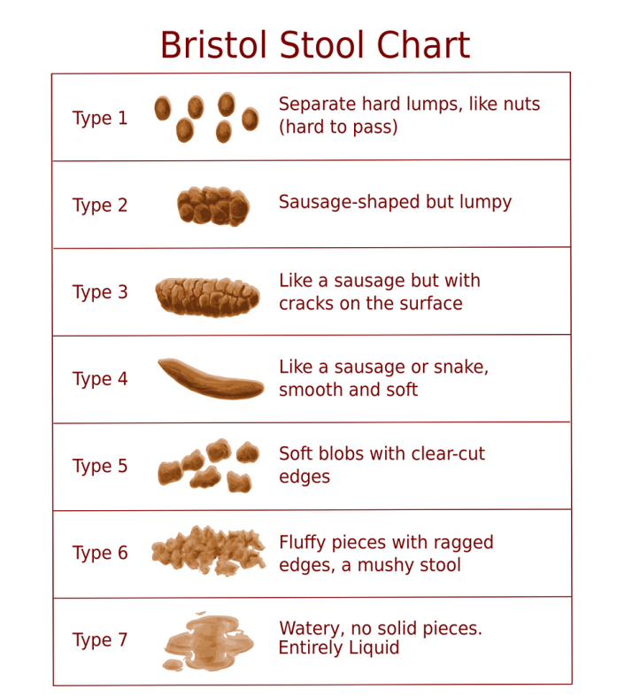 Bristol Stool Chart